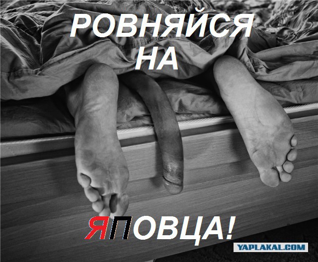 С Днем Рождения, ЯП! 12 лет