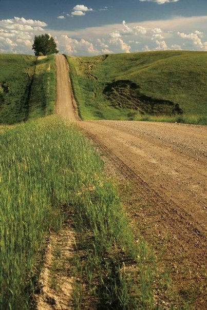 Интересные и веселые картинки