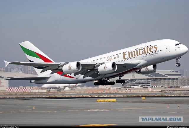 Чувак летит Первым классом Emirates