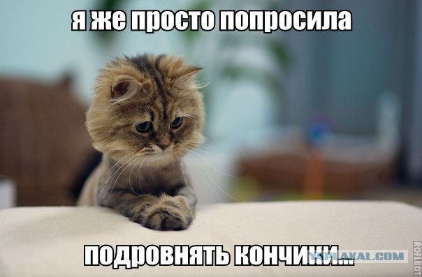 Смешные картинки из сети на 17.10.16