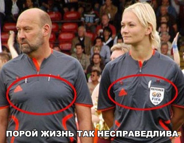 29 картинок