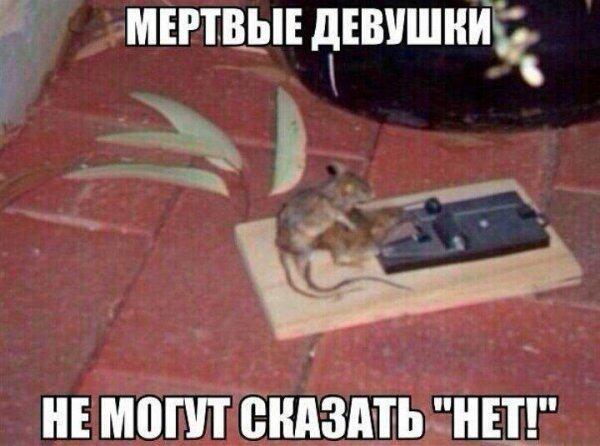 Приколы в стиле "регресс"
