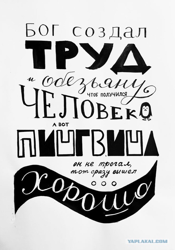 Подборка интересных и веселых картинок