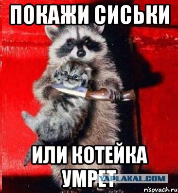 Переосмысление сисек.