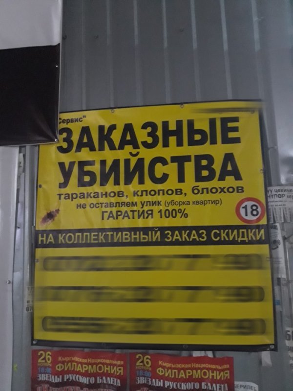 Подборка интересных и веселых картинок