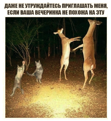 Не очень адекватный юмор