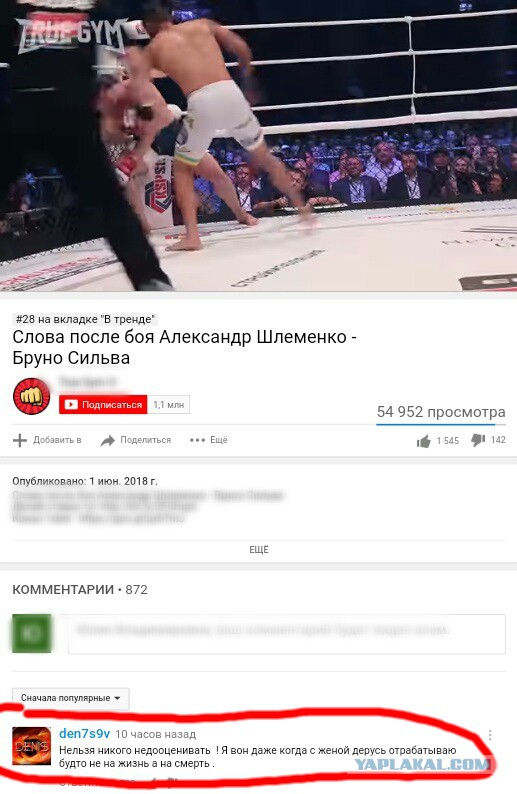 Смешные комментарии из социальных сетей 01.06.2018