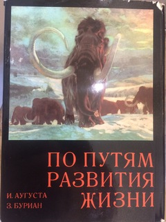 Что читали в детстве?