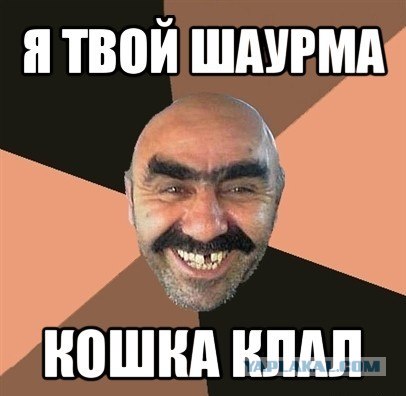 Дорофей убежал! Ещё один всё понял...