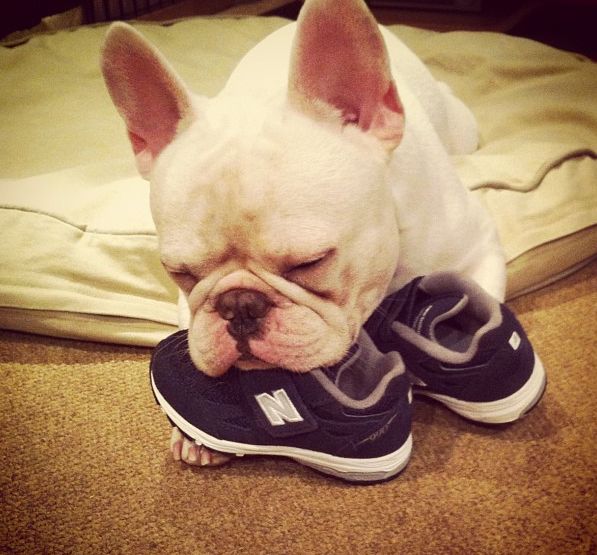 Лучшие друзья навсегда