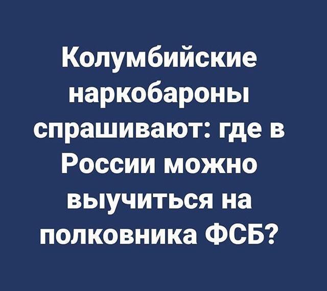 Бандиты отняли у генерала ФСБ закопанные в огороде $5 млн, припугнув паяльником