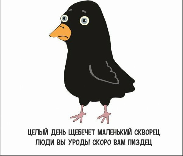 Картинки с надписями и анекдоты
