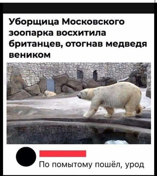 Прикольные картинки и фото 08.12.19