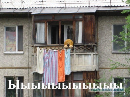 Конкурс: подпись к картинке