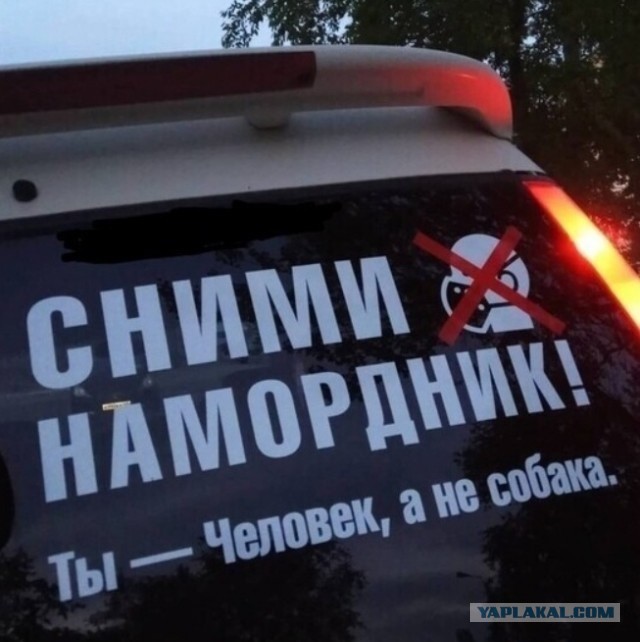 Чуток картинок 25.06.20