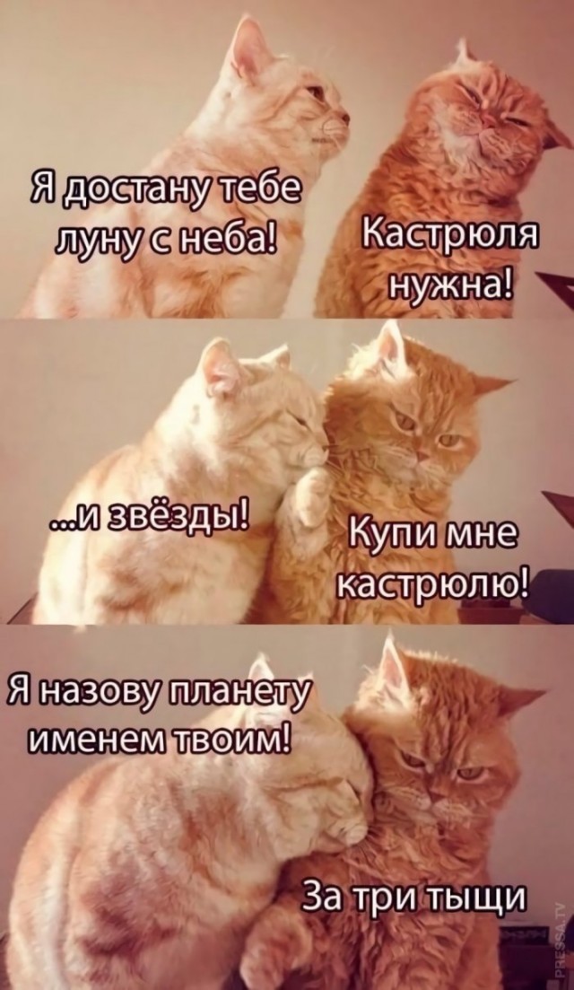 Я подарю тебе эту звезду...