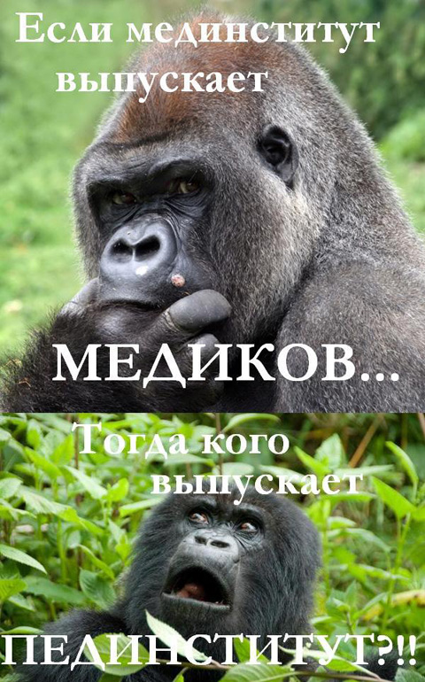 Картинки и мемы для настроения 014