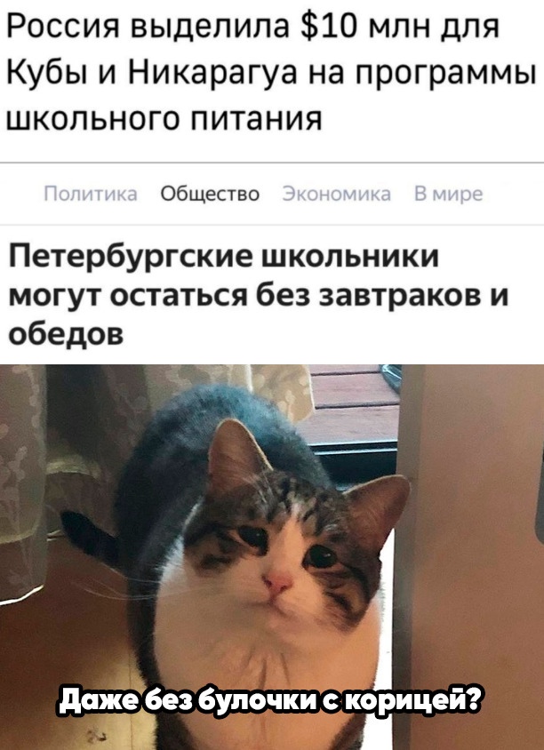 Весёлый полтишок 19.03