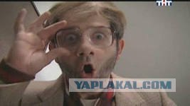 Кошак токсикоман