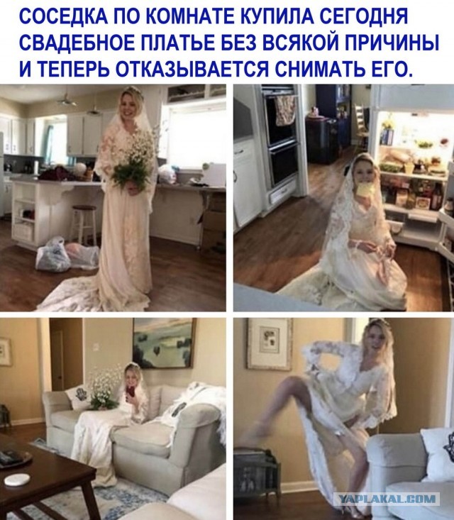 Ночные кретинизмы из сети 25.08.2021