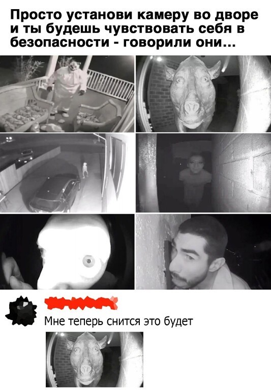 Юмор в картинках и без 23.08.22