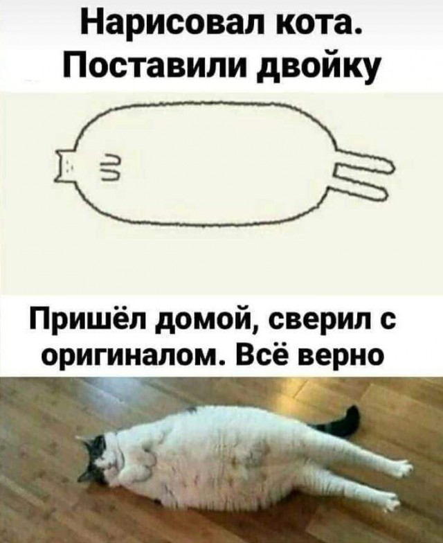 Немного юмора, гуманитарного - 5