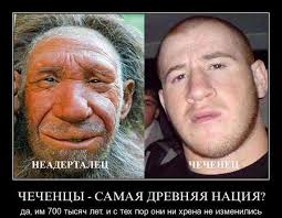 Тимур с предложением
