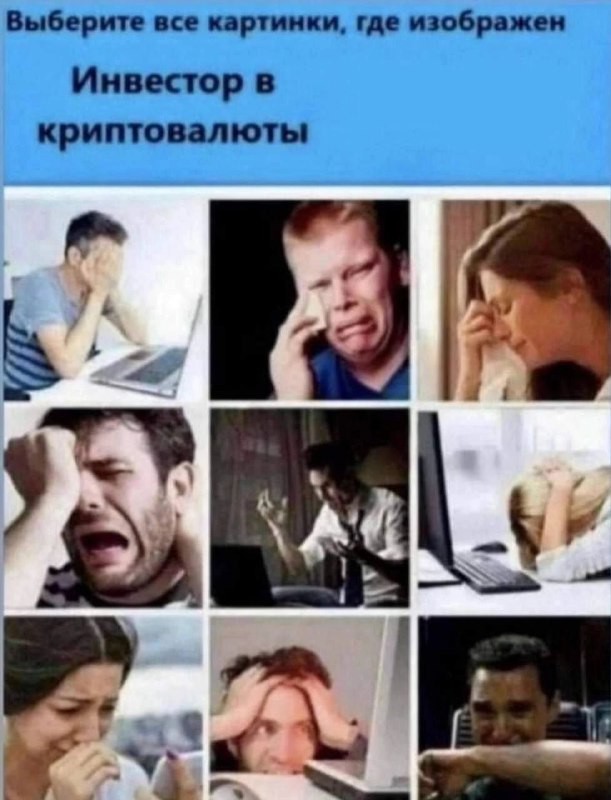 Всего понемногу. От 24.07.24