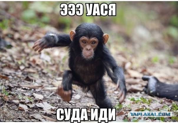 Мага из Саранска