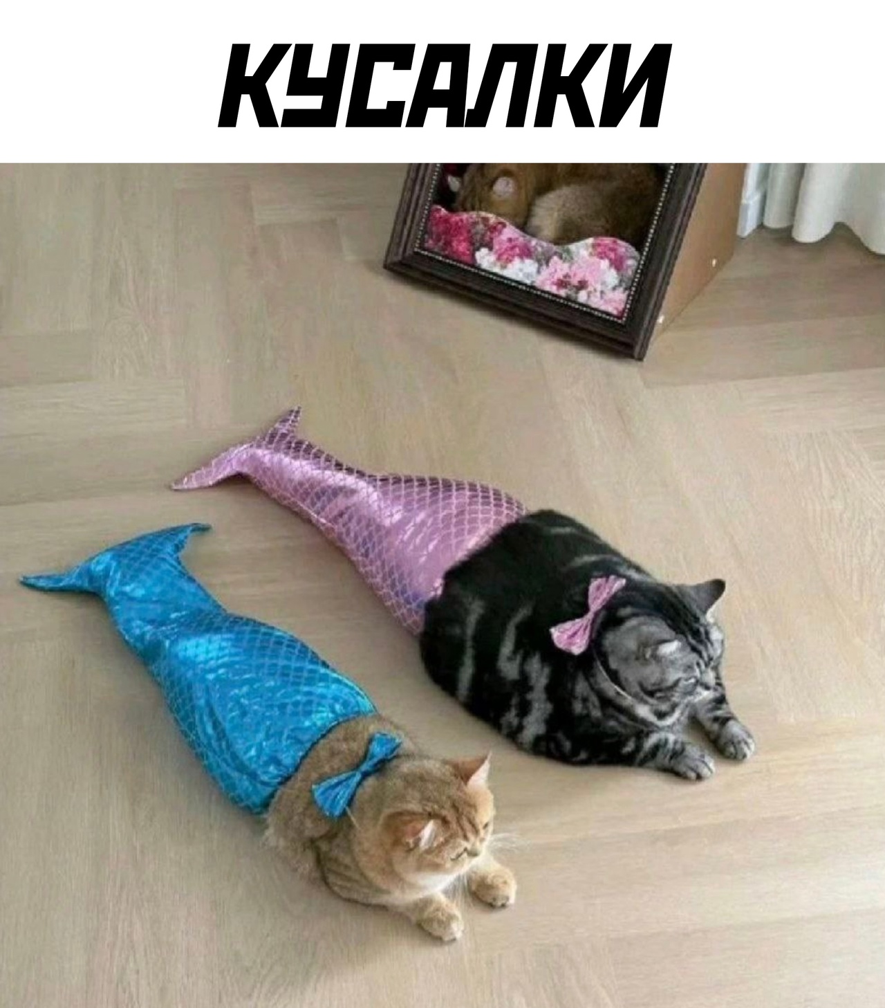 20160544.jpg