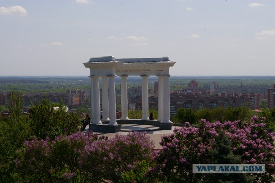 Праздник Галушки в Полтаве