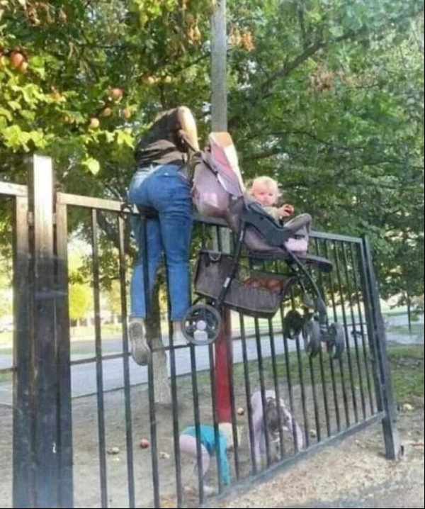 Картинки для деградации 146 (разной степени свежести)