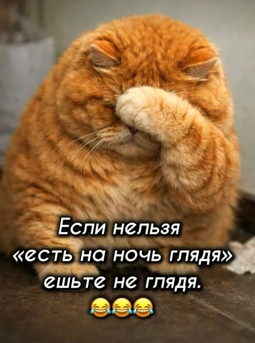 Картиночки, баянчики 02 марта