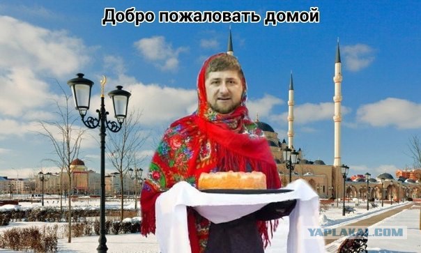 На злобу дня