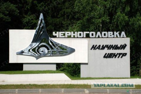 Черный волк