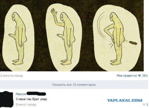 Прикольные картинки