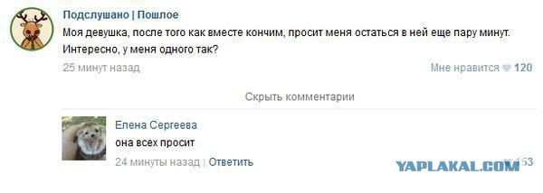 Смешные комментарии из соц.сетей