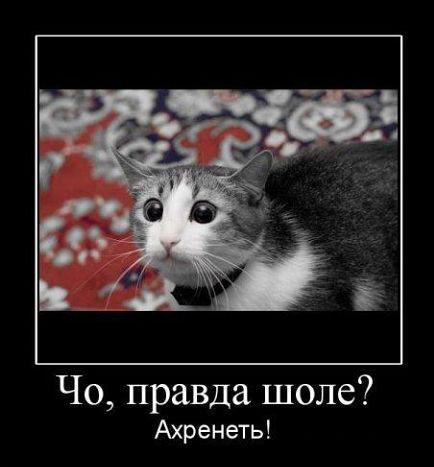 Чем плохая гостиница отличается от хорошей