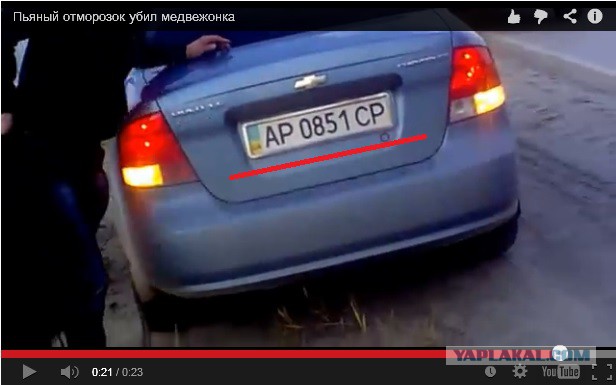 Сволочи забили медвежонка трубой