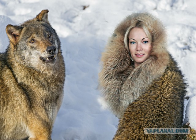 Дорогая, может обойдёмся без скандала ?