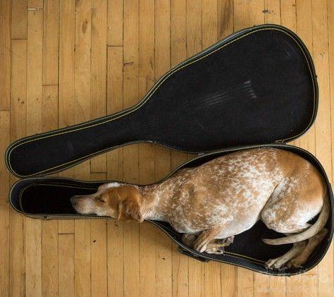 Чехол для...