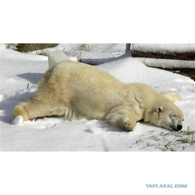 Интересно познавательные фото!