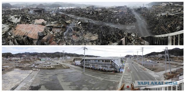 Tsunami: год спустя.