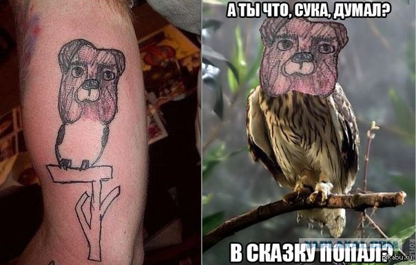 Подборка картинок из сети