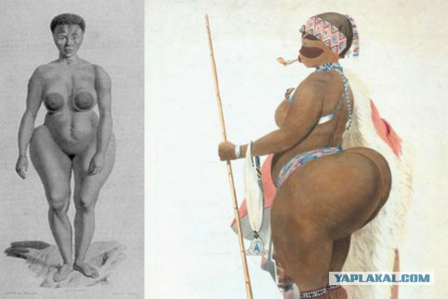 Спортивные девчонки