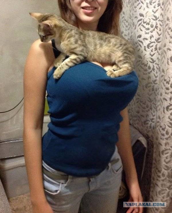 Голодным не смотреть