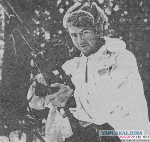 Про кукушек на деревьях и немного про Симу Хайхя