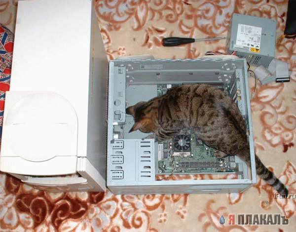 Которозыск, срочно!