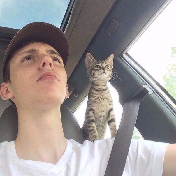Подборка фото