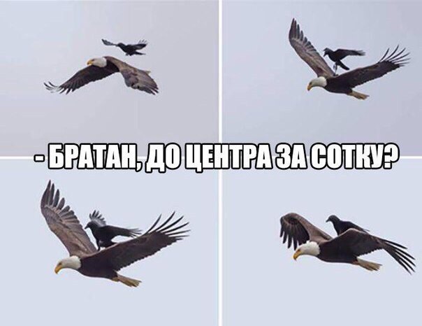 Разные картинки из сети